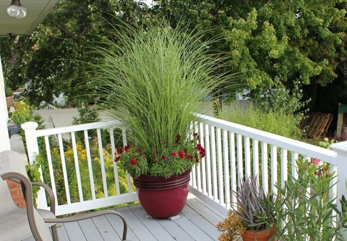 Terrasse-mit-Sichtschutz-einen-großen-Blumentopf