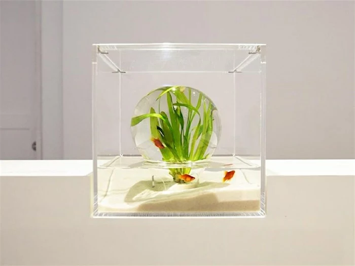 aquarium-schenken-die-prototypen-von-misawa