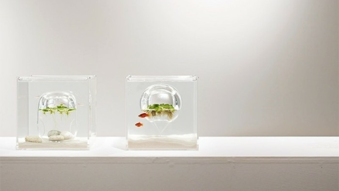 aquarium-schenken-harukas-schöne-prototypen