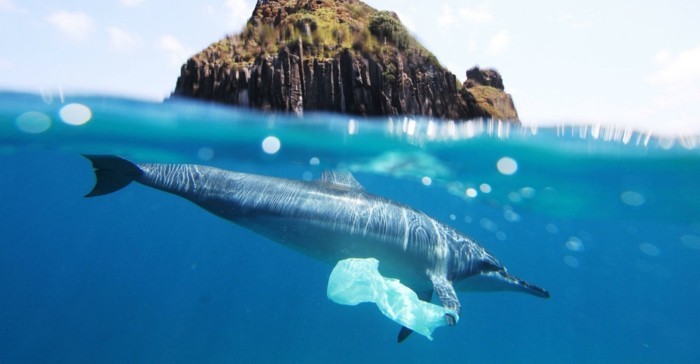 plastik-recycling-plastikmüll-in-den-ozeanen