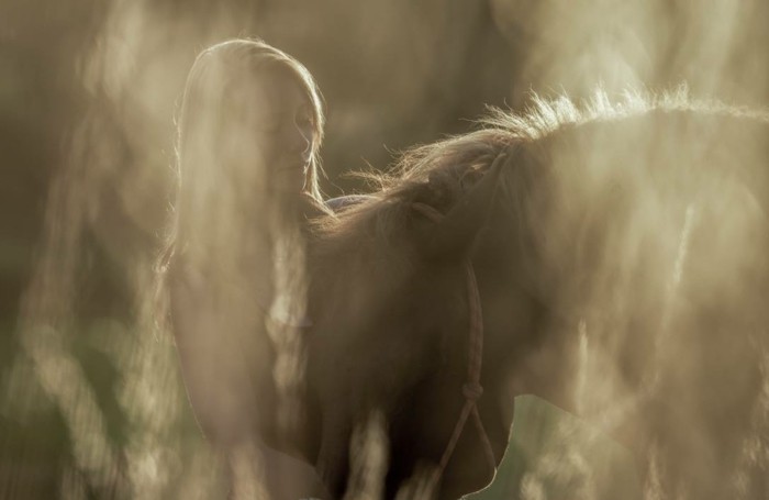 schöne-pferde-bilder-die-starke-beziehung-zwischen-pferd-und-mensch