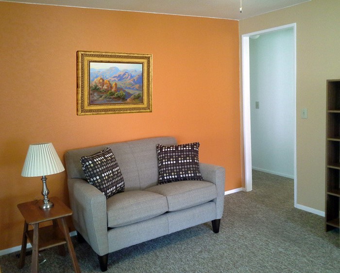 Farben-für-Wohnzimmer-in-Orange-Eine-wunderschöne-Gestaltung