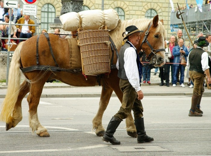 Oktoberfest-München-die-Parade-mit-Pferden