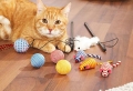 Katzenspielzeug - die Träume der Katzen gehen in Erfüllung
