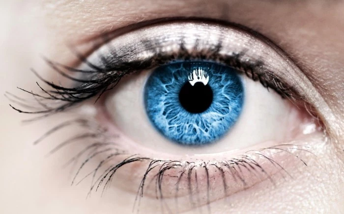 kontaktlinsen-augengesundheit