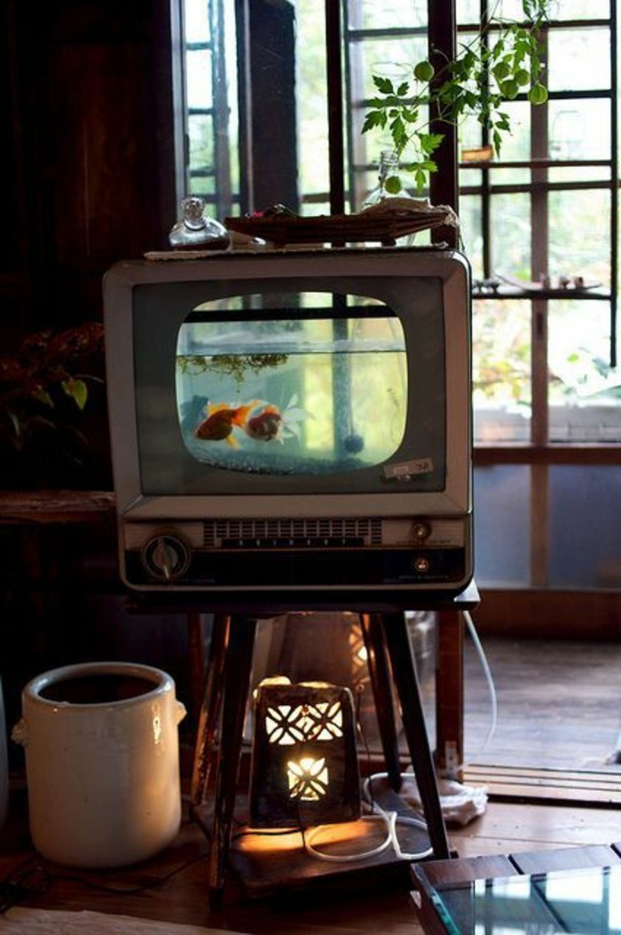 aquarium-tv-aquarium-fernseher-coole-gestaltungsideen-zur-aquarium-deko-aquarium-einrichten