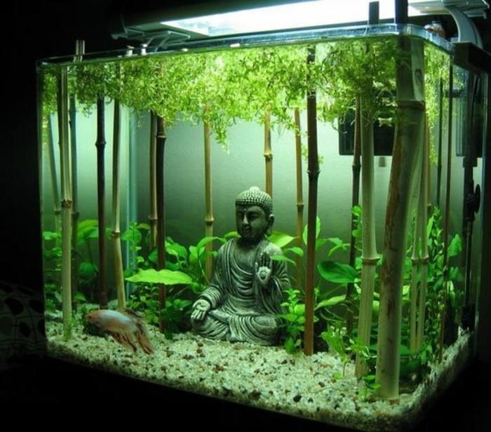 buddha-aquarium-deko-aquarium-mit-bambus-einrichten-groses-viereckiges-aquarium