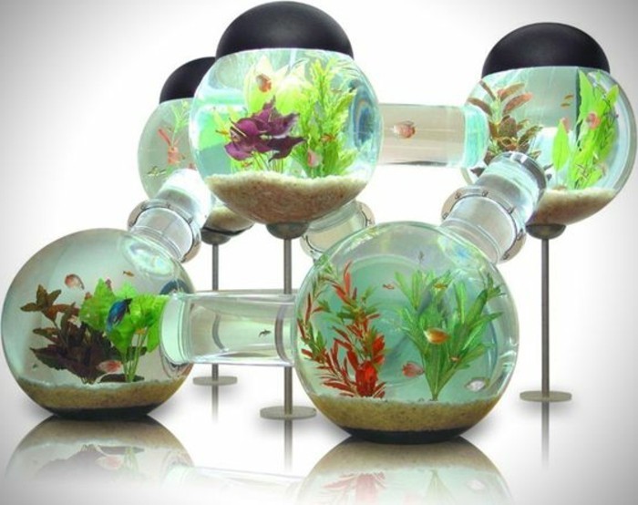 die-welt-der-fische-aquarium-kugel-wasserpflanzen-sand-kleine-fische-goldfische-aquarium-einrichtung