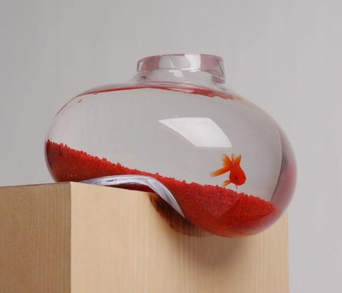 hangendes-aquarium-fur-goldfische-mit-orangem-sand-glas-aqarium-einrichten-kleines-aquarium