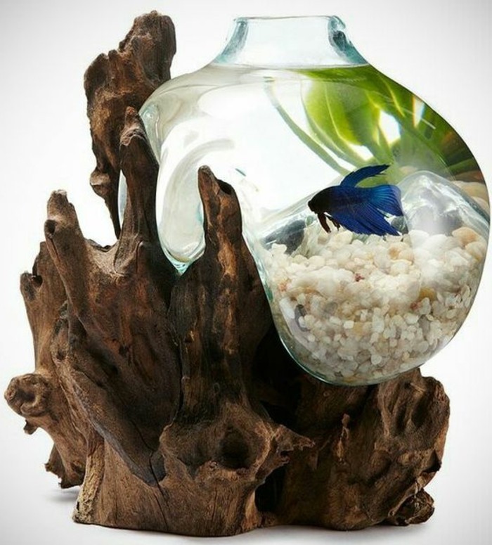 kleines-blasenaquarium-weise-steine-blauer-fisch-pflanzen-trockene-aste-aquarium-deko