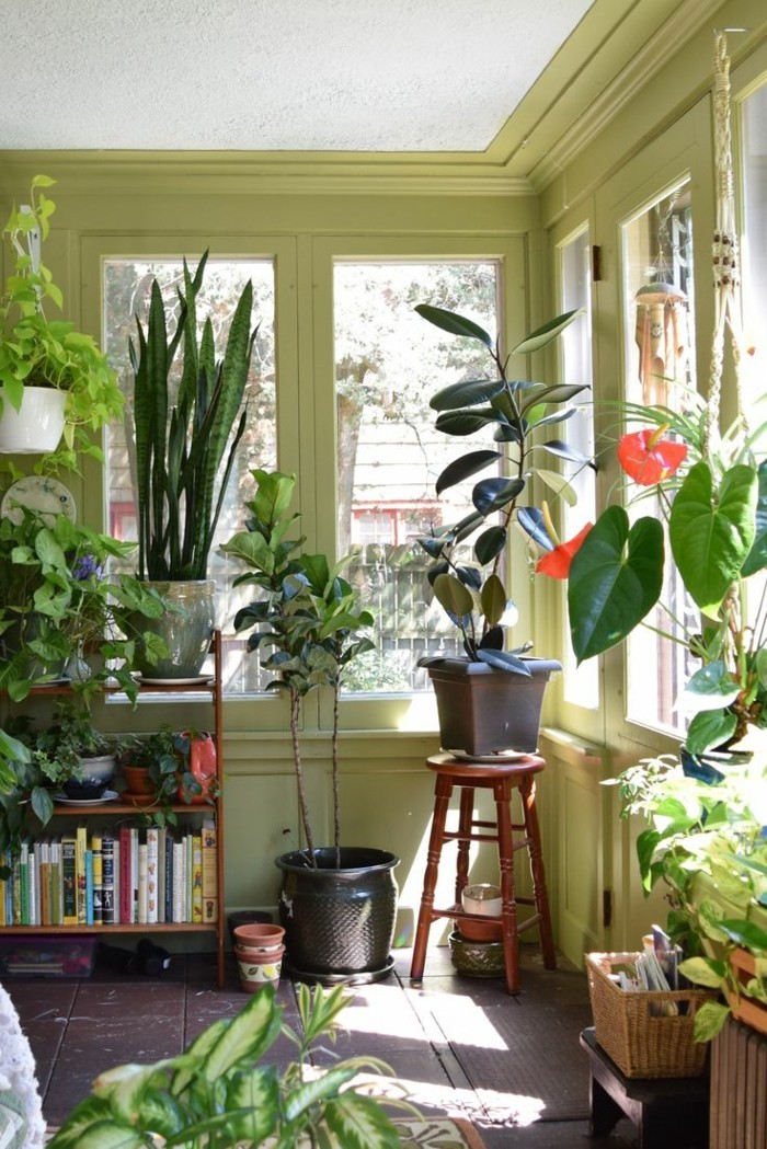 pflanzenvordemfensterimwohnzimmer-pflanzenecke-dekotipps-wohnzimmer