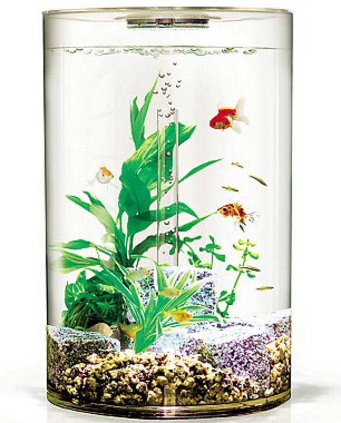 rundes-kleines-aquarium-aquarium-deko-mit-steinen-und-wasserpflanzen-aquarium-gestaltung