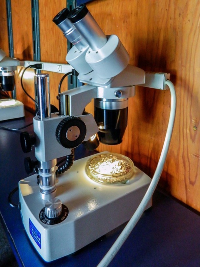moderne Technik: ein Labormikroskop mit eingeschaltetem Licht