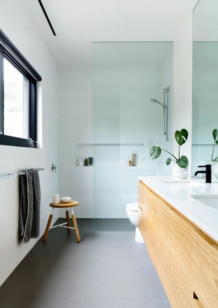 Badezimmerwände-ohne-fliesen-fugelloses-kleines-badezimmer-mit-duschkabine-aus-glas
