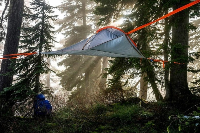 ein-märchenhafter-wald-mit-blauem-campingzelt