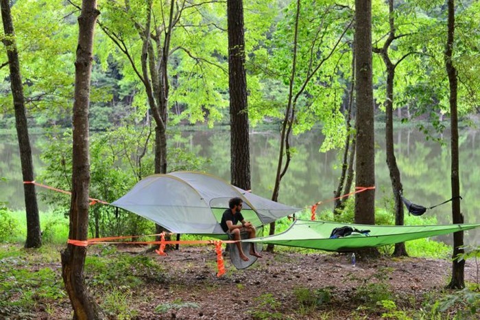 ein-weißes-und-ein-grünes-campingzelt-in-dem-wilden-wald