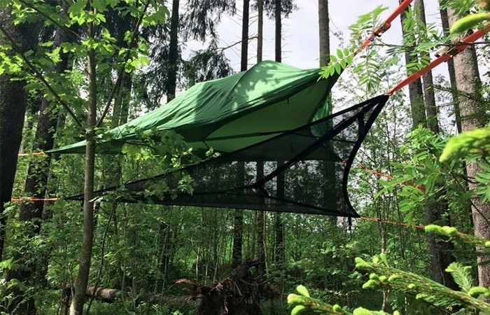 grünes-campingzelt-im-grünen-wald