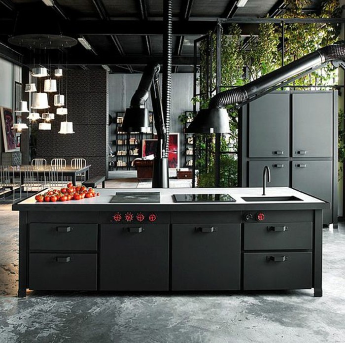 5küche-streichen-schwarz-steinboden-pflanzendeko-industrial-style-induktionsplatte-küchenschrank-schwarz-abzugshauben 