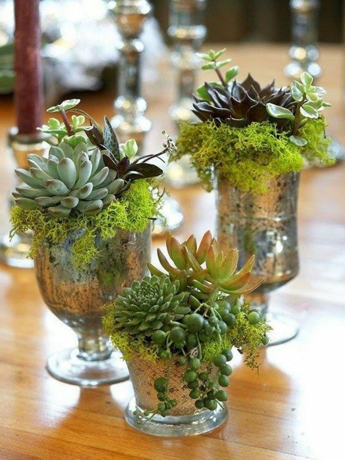 dekoideen-frühling-drei-Vasen-mit-pflanzen-und-moos
