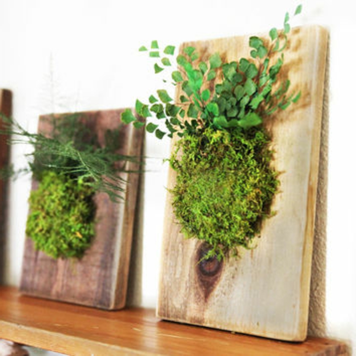 zwei Moosbilder: Moos und andere Pflanzen auf Holz kleben