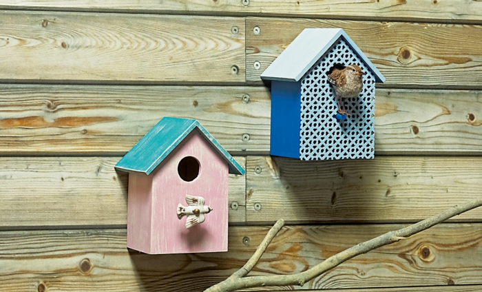 Vogelhäuser aus gestrichenem Holz mit coolem Design