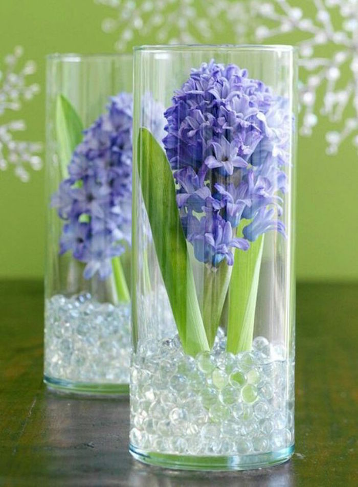 Blumenzwiebeln im Glas mit Dekosteinen,Hyazinthe