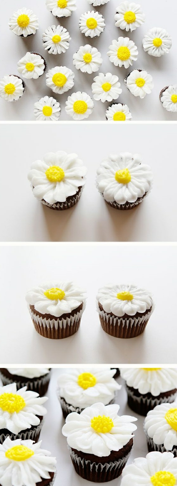 schoko-cupcakes dekoriert mit weißen gänsenblumen 
