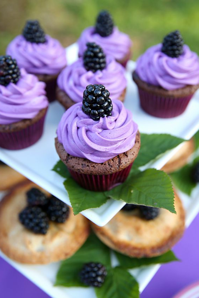 schoko-cupcakes mit lila sahne und blaubeeren verschönen