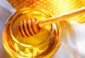Die Honigschleuder: Ein unentbehrlicher Helfer bei der Herstellung vom flüssigen Gold