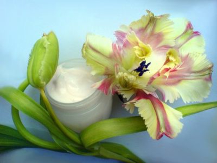 leichte DIY Augencreme mit Naturprodukten in einem Cremebehälter, gelb-pinke Pflanzenblühte