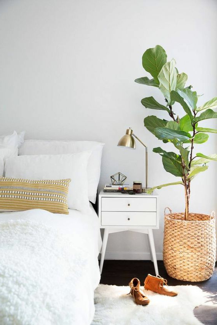 minimalistisch eingerichtetes Schlafzimmer mit Doppelbett, weicher Plüschteppich in Weiß, große Pflanze