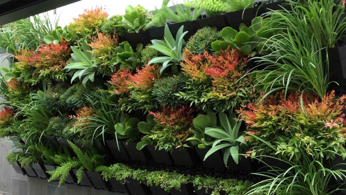 Vertikaler Garten mit exotischen Pflanzenarten in einigen verschiedenen Farben