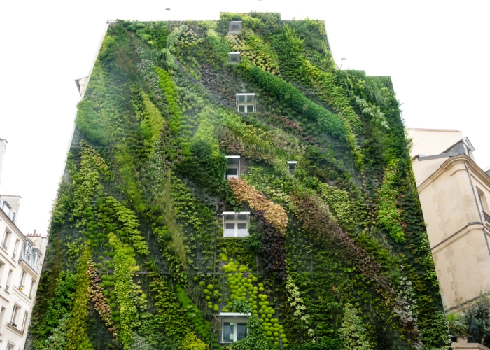 das ganzer Wohnblock ist ein vertikal Garten in Nuancen von Grün
