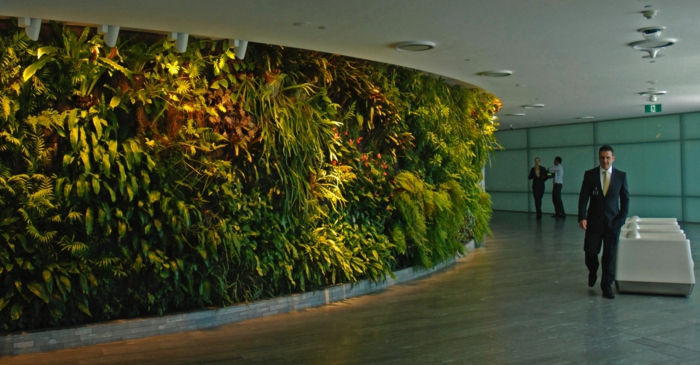 vertikal Pflanzen - ein Spaziergang wie in der Natur im Büro machen