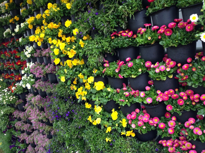 bunte Blumen in spezieller Wand zum vertikal Pflanzen - so bildschön