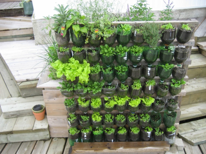 Pflanzenwand selber bauen - DIY Projekt mit Flaschen - leicht zu wassern