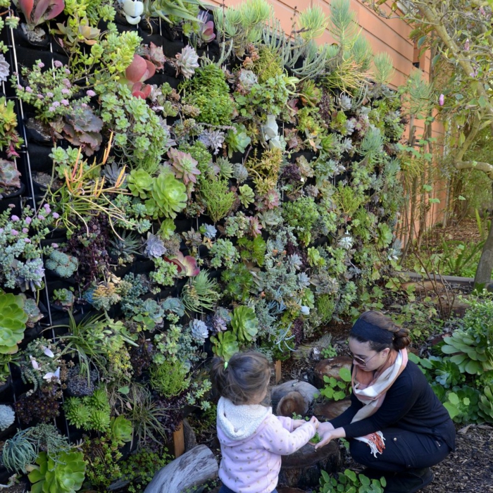 vertikale Bepflanzung mit Hauswurzen Mutter eine Wand im Garten