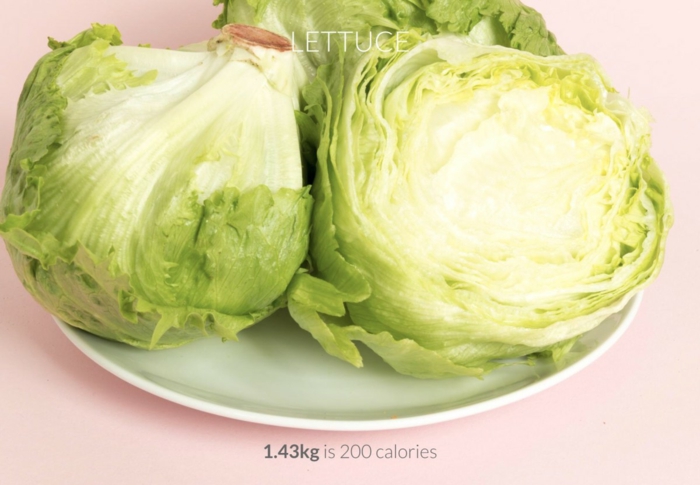 wie viele kalorien enthält den kopfsalat eisberg salat ein einhalb kilo ist nur 200 kalrien kalorienrechner kalorienzähler