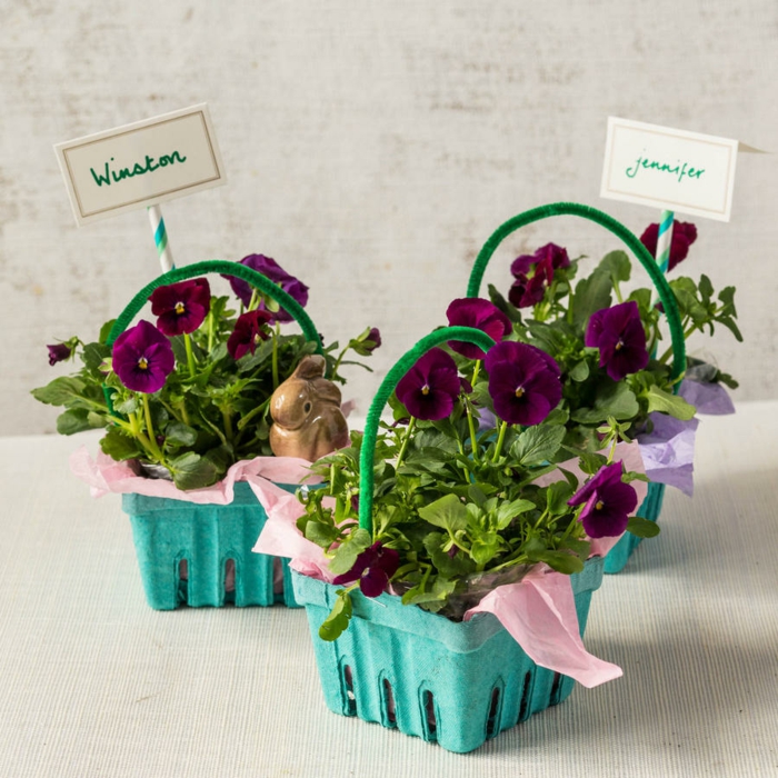 Für eine Gartenparty zu Ostern Eierschachtel wie Blumentöpfe mit Stiefmütterchen