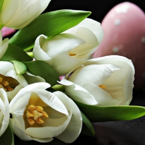 Friede, Freude, Eierpecken – endlich ist wieder Ostern!