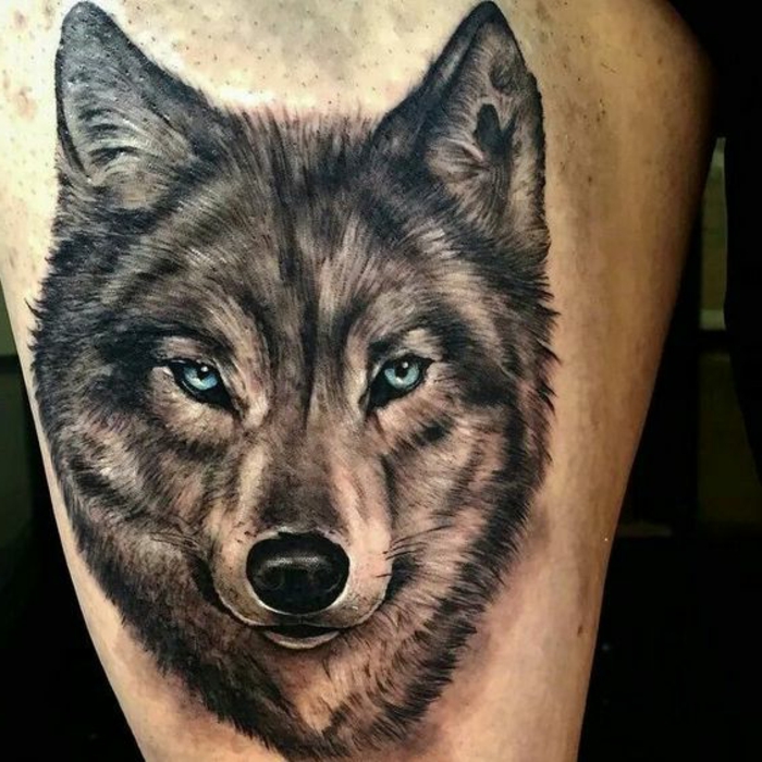 wolf tribal - hier ist ein wolf tattoo - ein wolf mit schönen blauen augen 