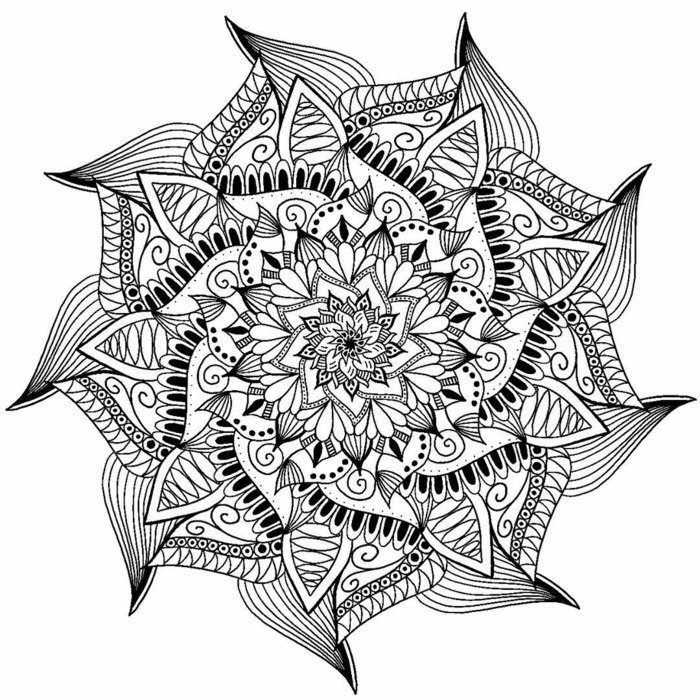 Bild mit einem Wiederholungsmuster zum Ausmalen, komplexe Linien, Lotusform, Spiralen