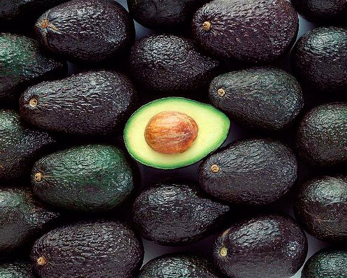 avocado eignet sich zum frühstück zum mittagessen und zum abendbrot lecker gesund fettreich naturprodukt bio