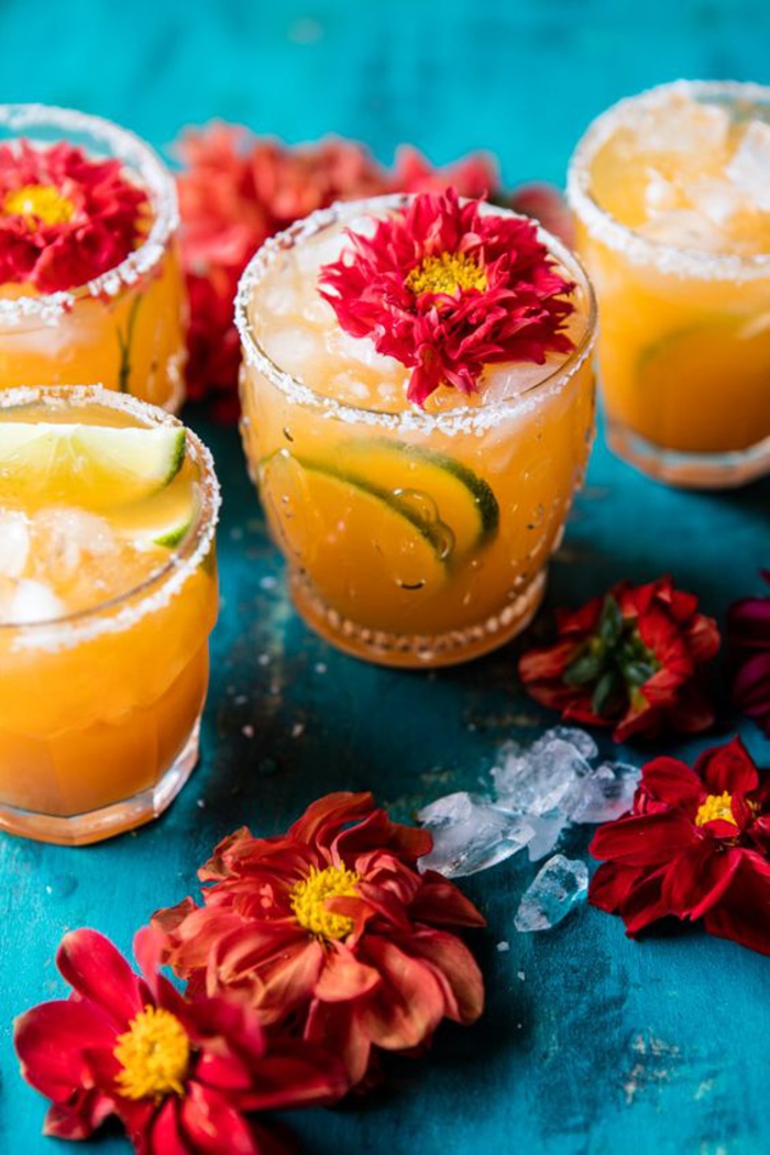 Rezepte für Cocktails mit Zitrusfrüchten, attraktive Getränke mit Blumen, die perfekte Erfrischung für die heißen Sommertage