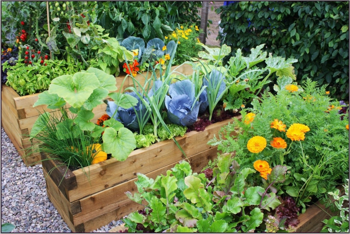 Gartenbeete gestalten - Blumen und Gemüse in einem Beet fröhliche Farben