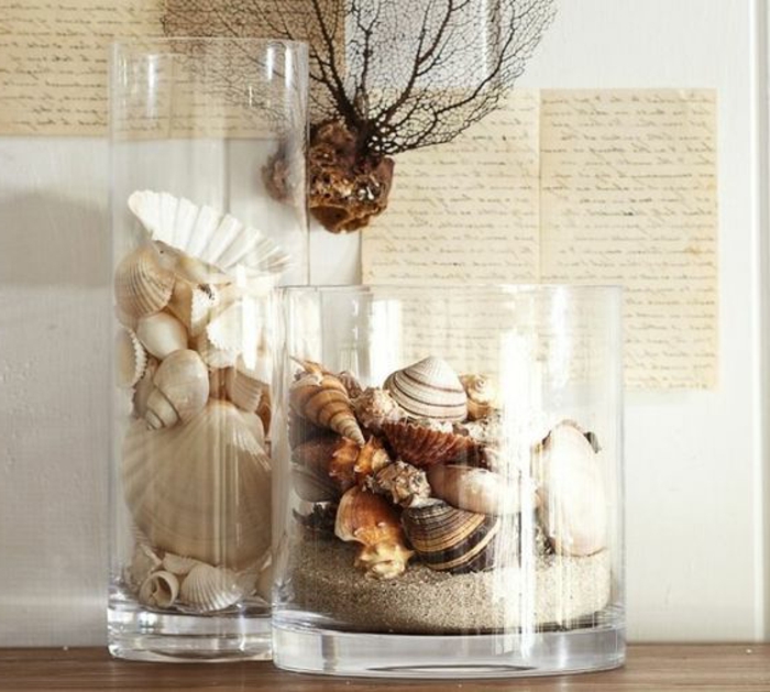 Bild Mit Sand Und Muscheln