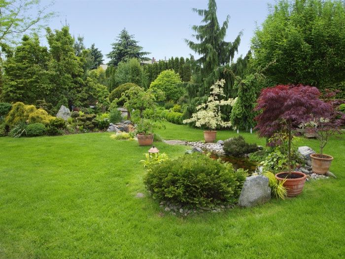 vier Blumentöpfe mit Zierbäume, Steingarten, englischer Garten - Vorgarten pflegeleicht gestalten