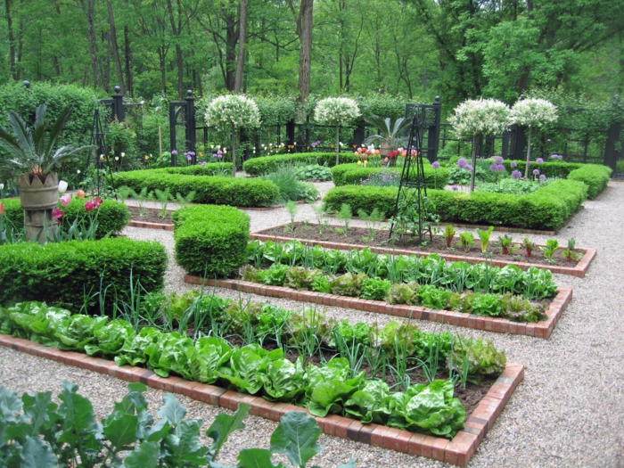 Gartenbeete gestalten - mit Zwiebel, Salat Blumen und Hecke, Ständer für Kletterpflanzen