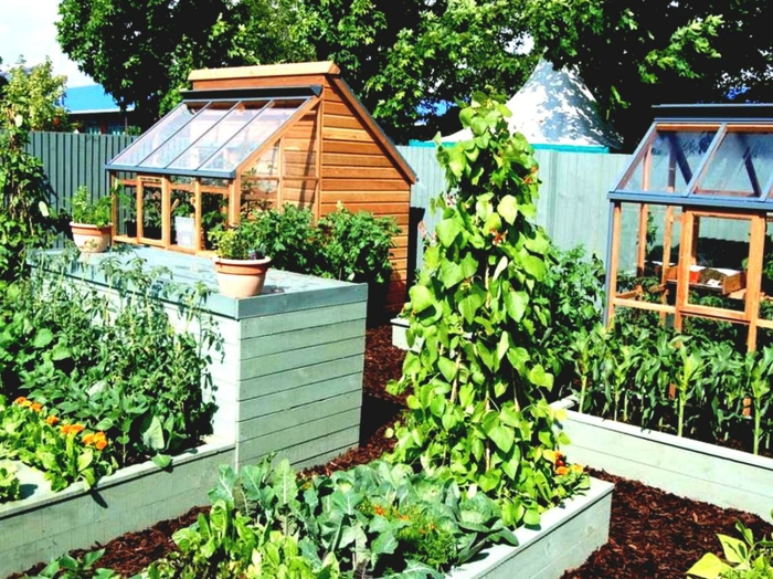 zwei Treibhäuser Blumentöpfe Gemüse und Blumen Gartengestaltung pflegeleicht