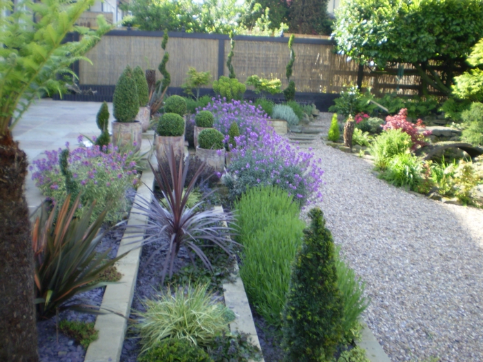 Lavendel Garten pflegeleicht viele verschiedene Pflanzensorten in Reihen geordnet